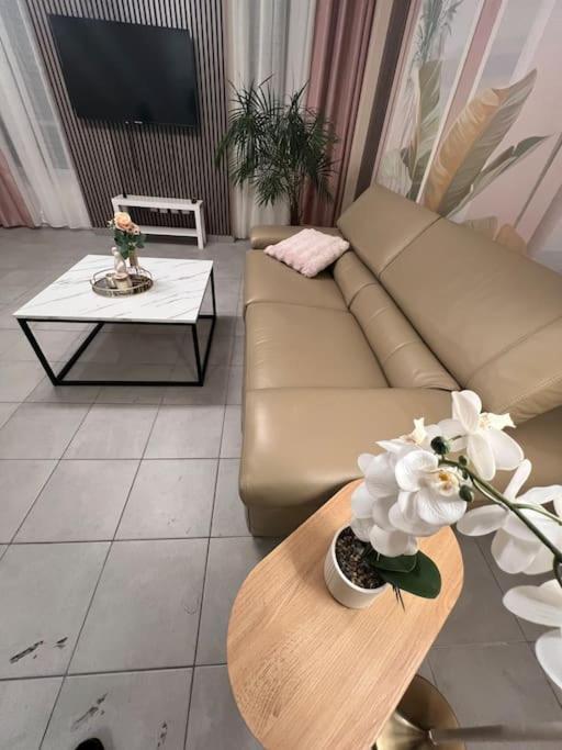 Esprit Palace, Coeur De Mulhouse Extérieur photo